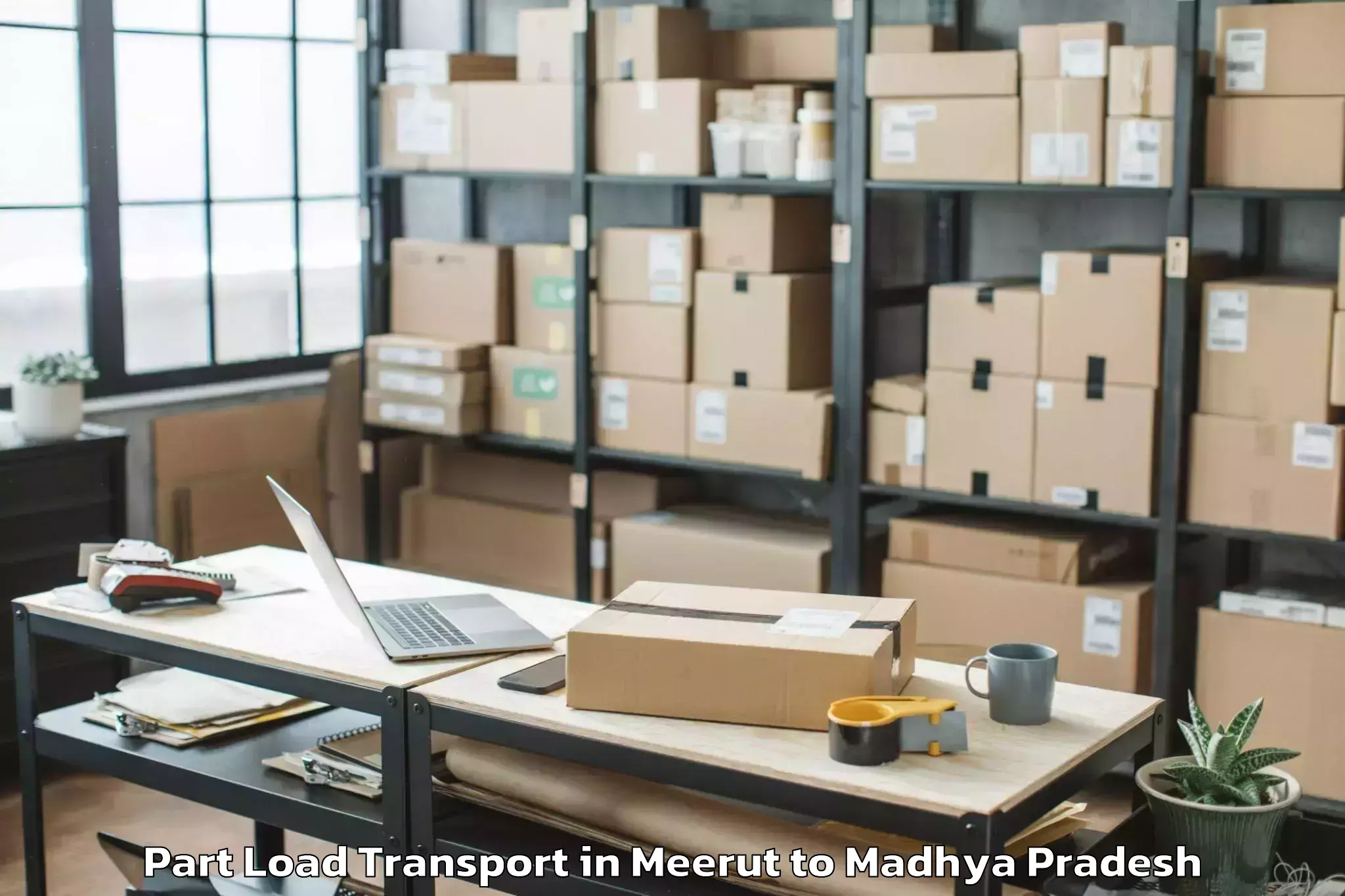 Professional Meerut to Rithi Part Load Transport